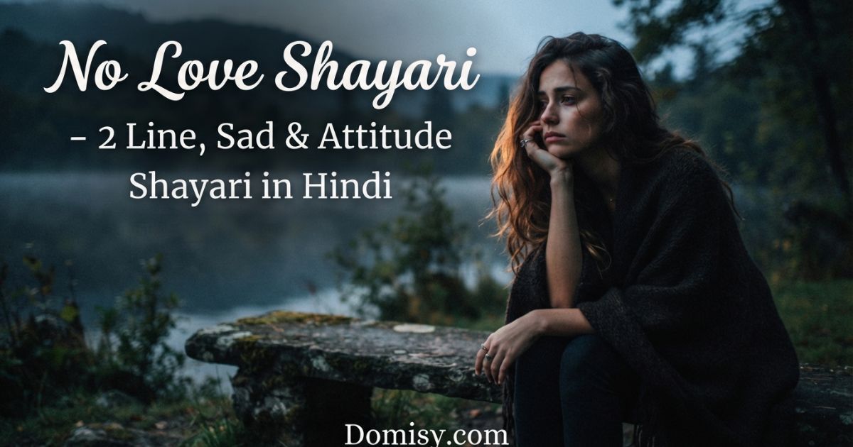 no-love-shayari-–-2-line-sad-and-attitude-shayari-in-hindi